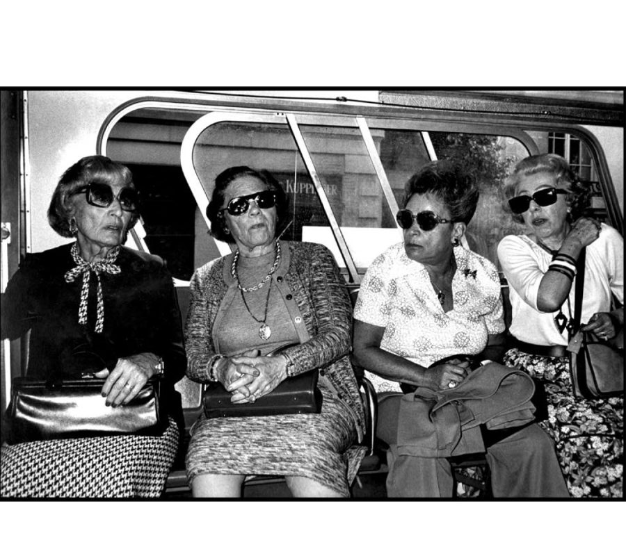 shades-of-the-past-FloFox